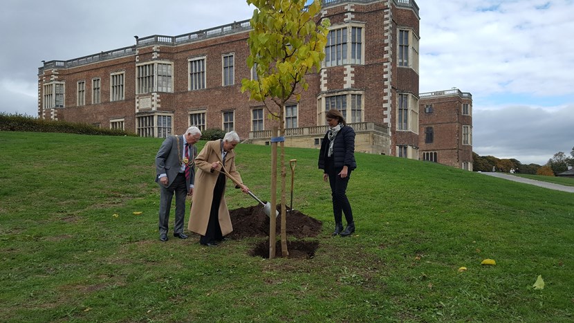 Half century of twinning between Leeds and Lille marked with special tree planting ceremony: lmpic-lille.jpg