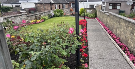 Mr Mitchell Galston Special Achievement Award