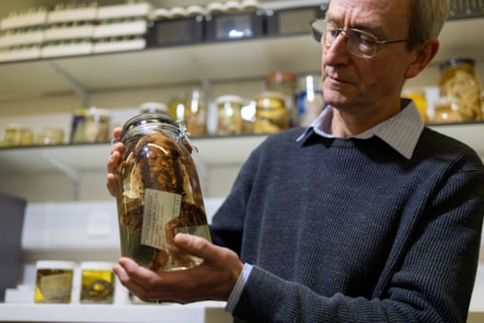 Curator Andrew Kitchener with specimens at the National Museums Collection Centre. Photo © Duncan McGlynn (2)