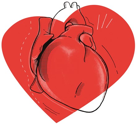Organ Donation - Heart - Illustration - JPG