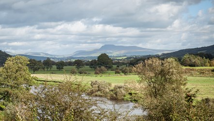 Lancashire will benefit from the Local Nature Recovery Strategy