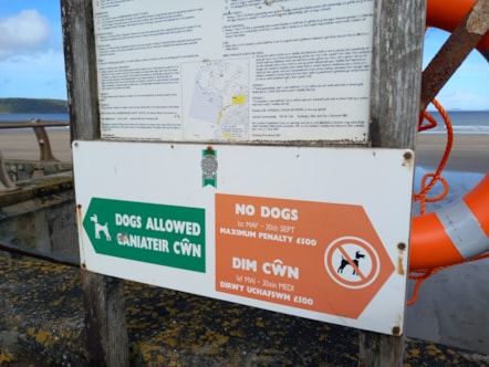 Beach dog sign