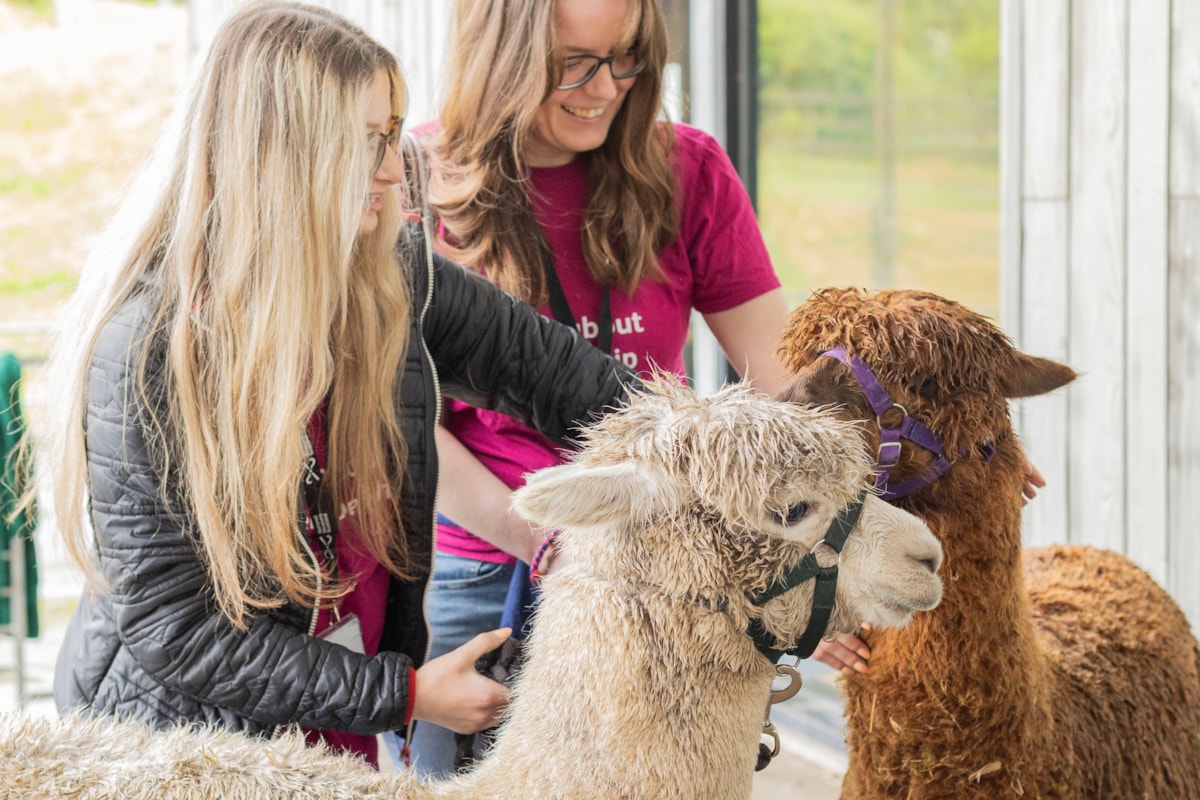 Woolly Weekend at the National Museum of Rural Life.  Photo © Claudia Scandella (2)