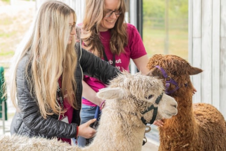 Woolly Weekend at the National Museum of Rural Life.  Photo © Claudia Scandella (2)