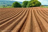 Scotland’s Soils website launched: Soil Release 1