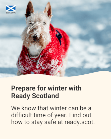 Dog - Portrait - Winter - SG Resilience - November 2025