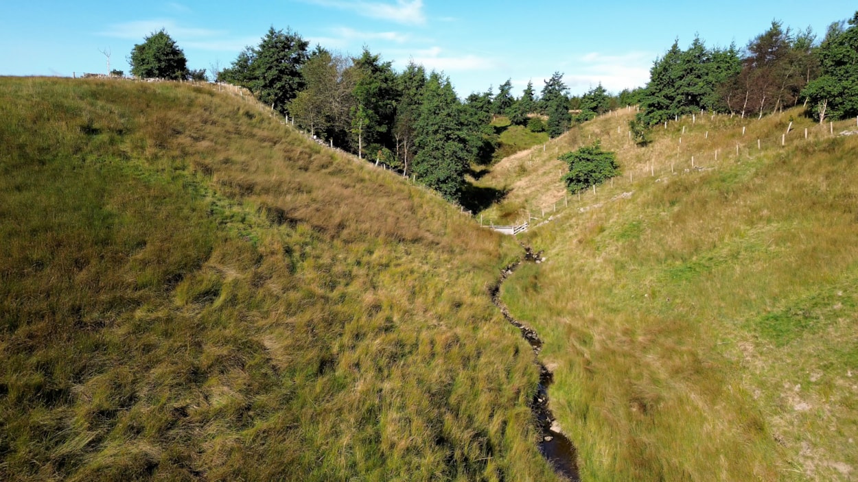 FAS NFM tree planting Malham3-2