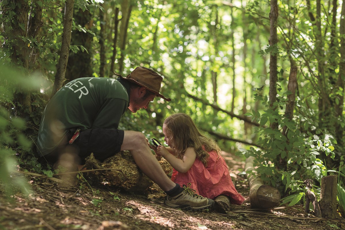 Nature Rockz Bug Hunt at Devon Cliffs