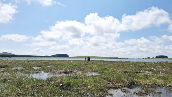 South West Water celebrates World Bog Day after successful peatland restoration at Crowdy Marsh - where wildlife is now thriving: Crowdy Marsh sunny