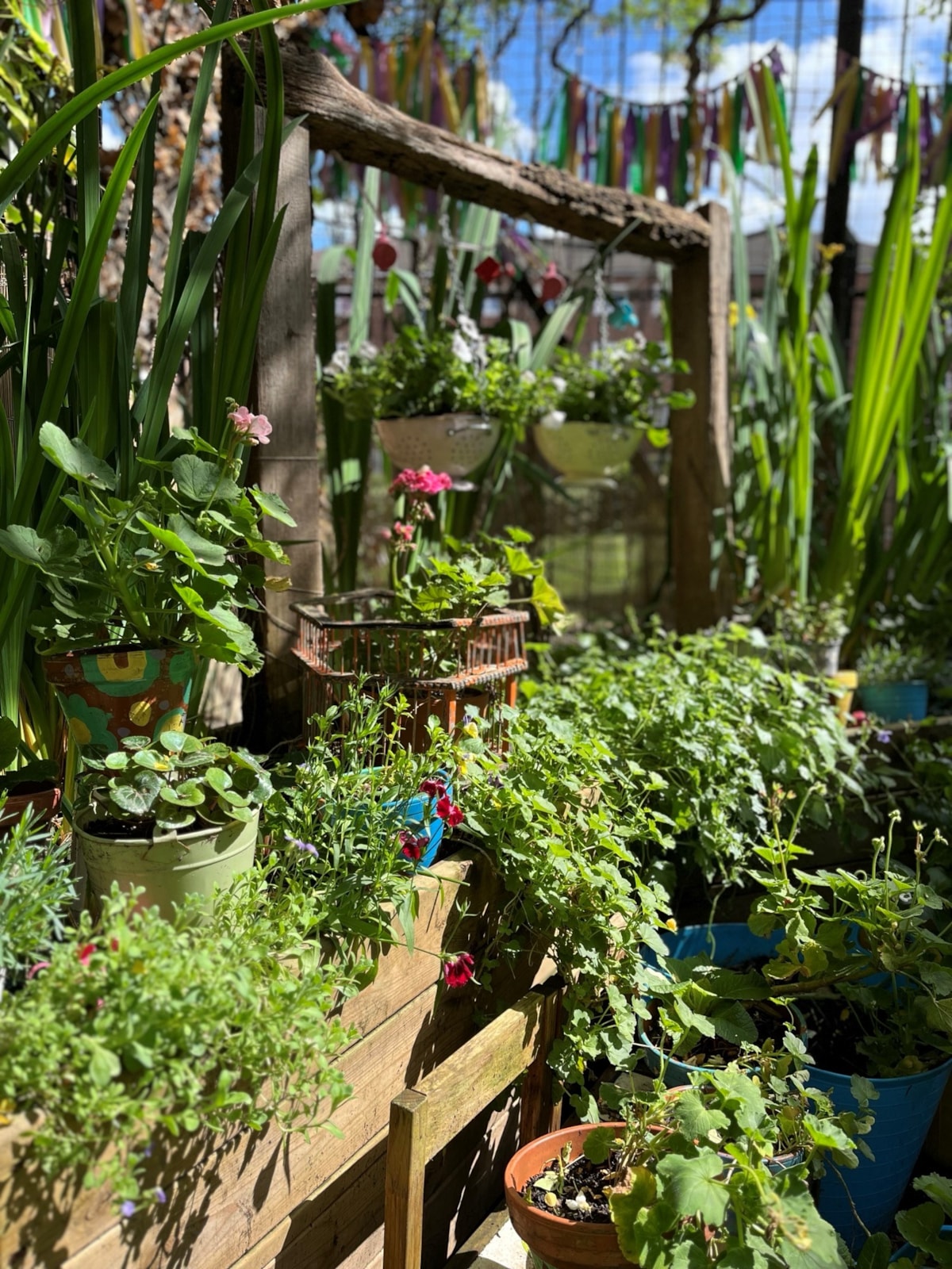 A photograph of Best Community Garden winners, Little Angel Puppet Theatre