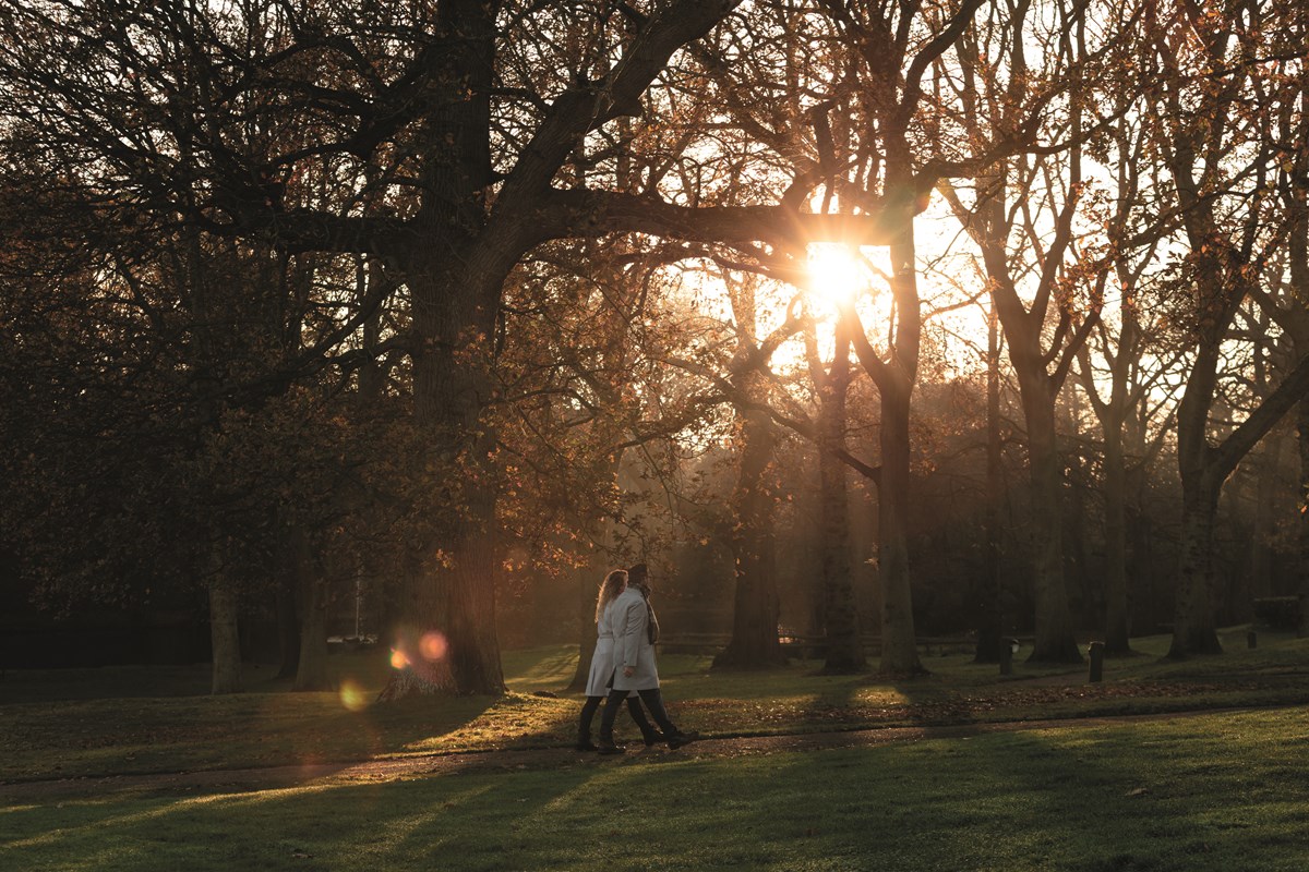 Gunton Hall Grounds