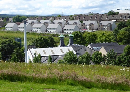 Rows of newly built homes in Keith, Moray, in image framed with weeds and shrubs against backdrop of low lying hill and cloudy, bright sky.