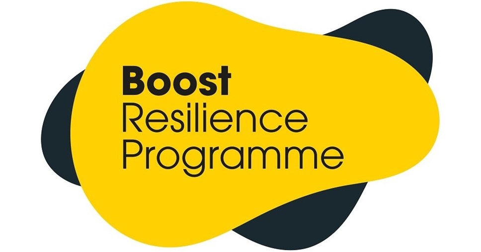 Boost-Resilience-web