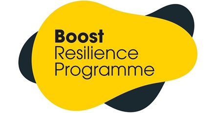 Boost-Resilience-web