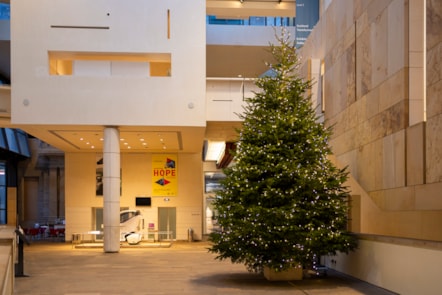 Lewis chess piece takes a festive turn decorating the National Museum of Scotland's Christmas tree © Duncan McGlynn-2