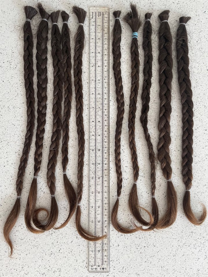 Ten plaits of hair donated by Stuart Hughes to Little Princess Trust copy