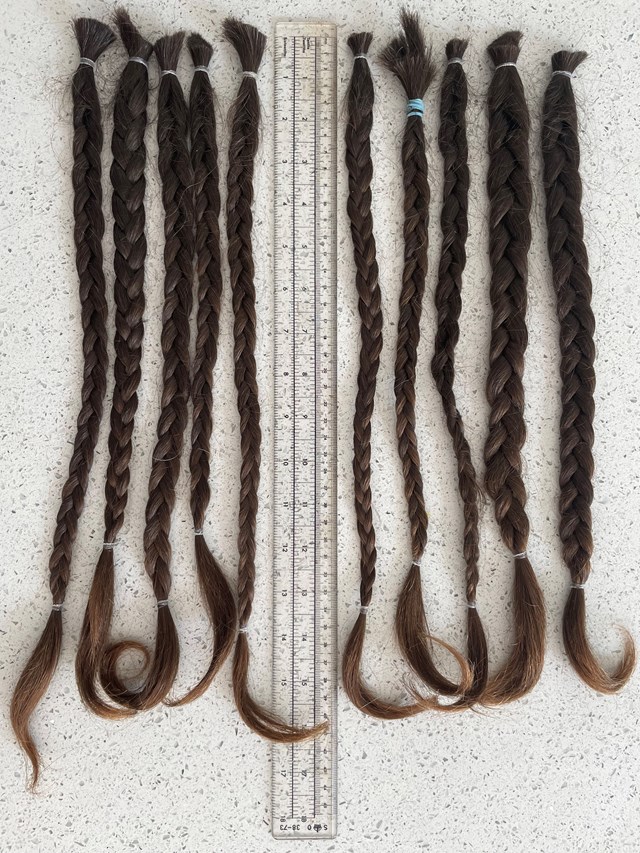 Ten plaits of hair donated by Stuart Hughes to Little Princess Trust copy: Ten plaits of hair donated by Stuart Hughes to Little Princess Trust copy