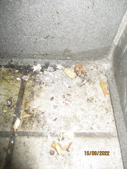 Photo taken by officers showing mice in the kitchen area at Chopsticks takeaway in Dudley.