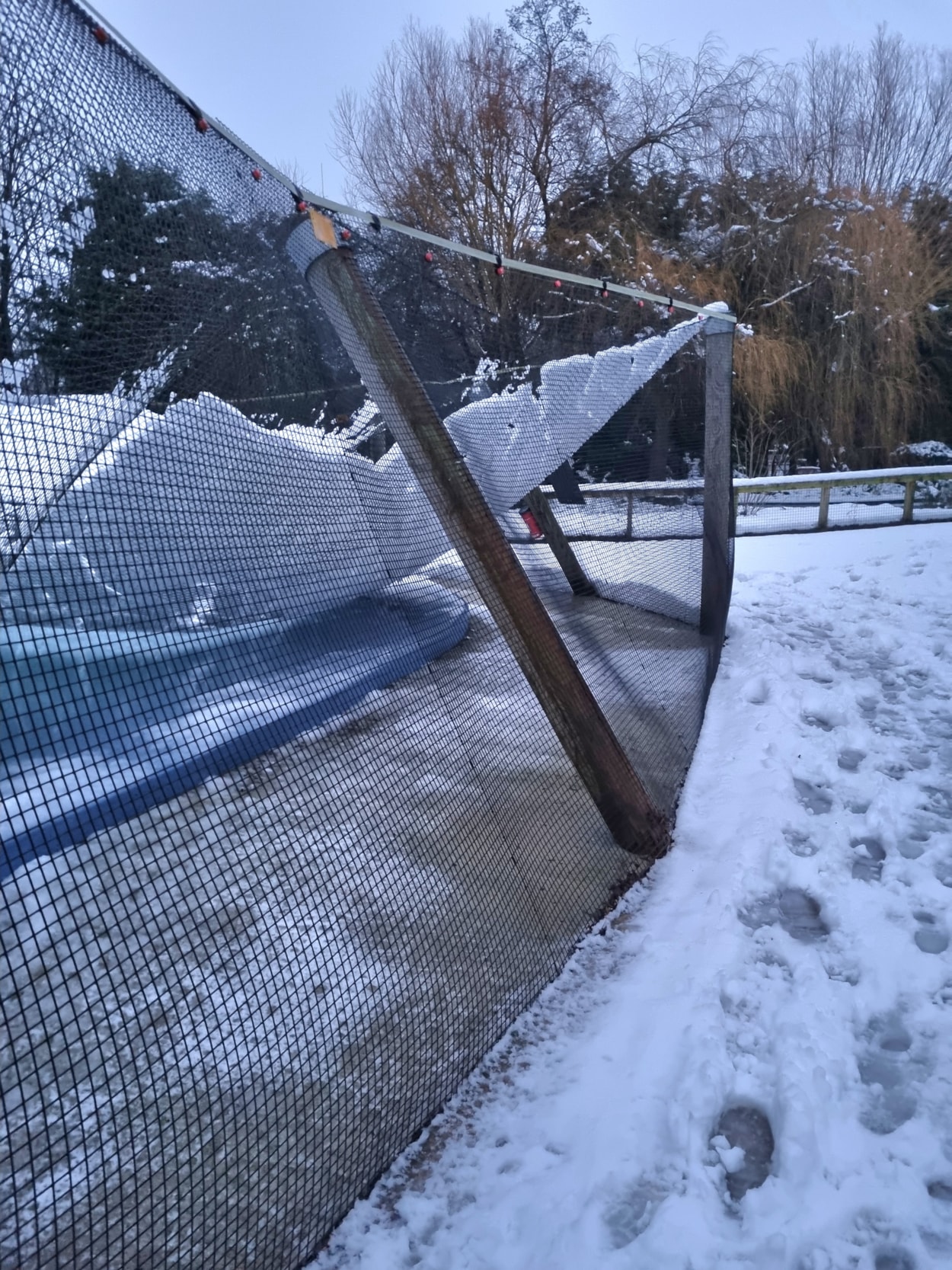 Penguin aviary: Lotherton’s Wildlife World has had to close for nearly a week due to the deluge of snow.