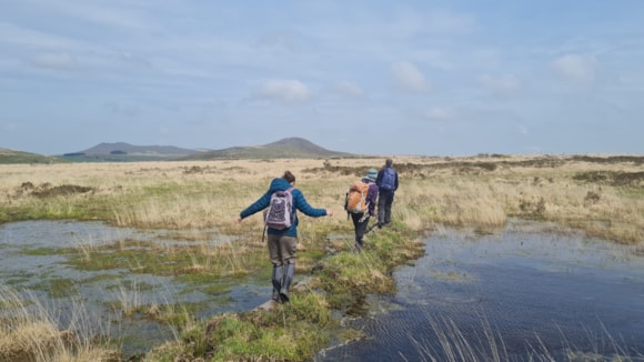 South West Water shortlisted for national biodiversity award for its innovative Upstream Thinking Programme: People traversing areas of peatland restoration on Bodmin Moor