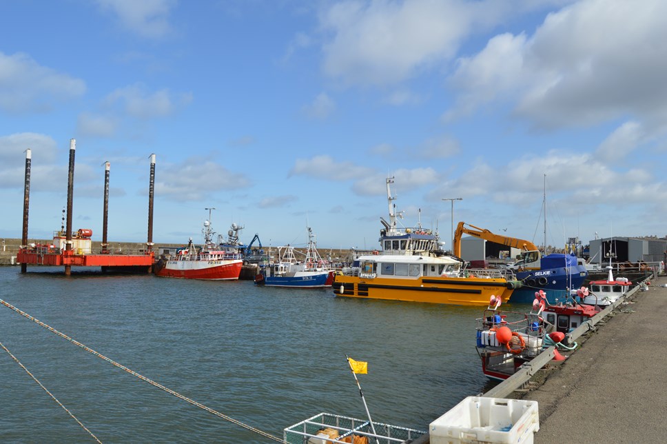 Boats of all sizes and colours are on the dock at a busy harbour beneath a pale blue summer sky and blue water.