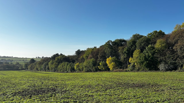 TRU purchases biodiversity units from Leeds City Council for local woodland enhancement: TRU BNG - Barnbow Woods