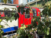 TfL Image -Morden: TfL Image -Morden
