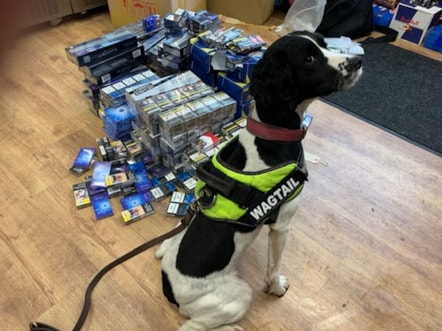 Ziggy next to some of the items seized