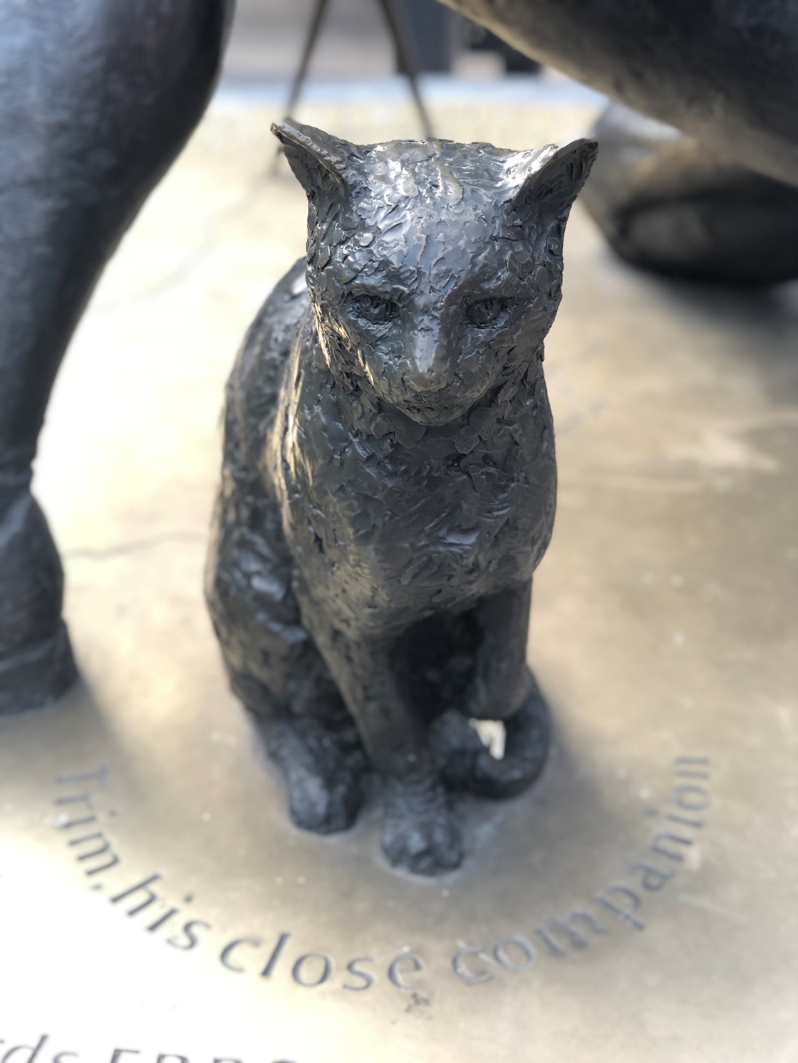 Trim the cat September 2020: Trim was a ship's cat who accompanied Matthew Flinders on his voyages to circumnavigate and map the coastline of Australia
(Captain Matthew Flinders, Euston, Britain's Biggest Dig, London)
Internal Asset No. 18788