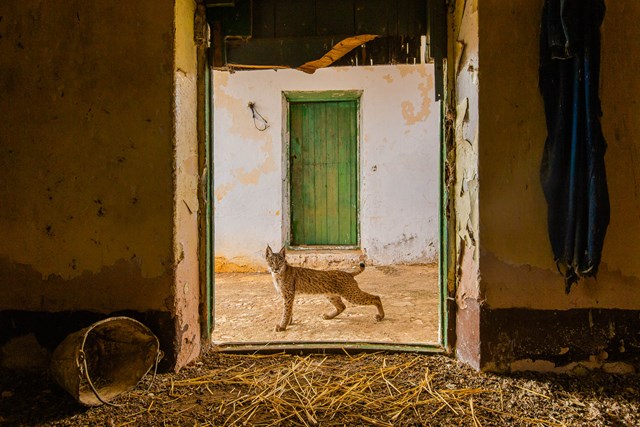 Image copyright Sergio Marijuan