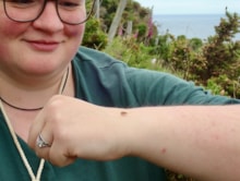 Encounter with Bordered Brown Lacewing (c) Nick Littlewood: Encounter with Bordered Brown Lacewing (c) Nick Littlewood
