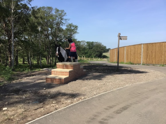 The UK's first ever heathland bridge-7