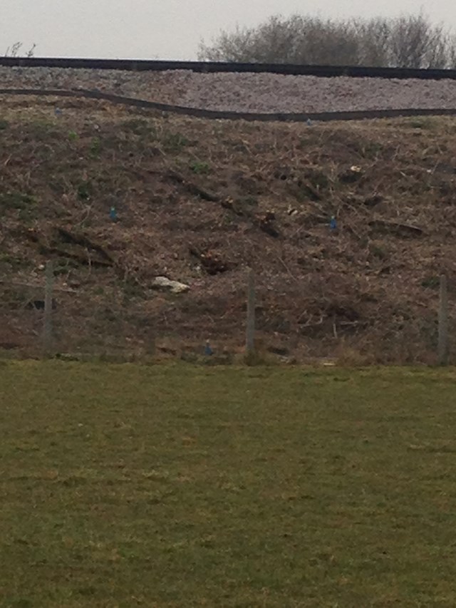 Ripe landslip site, Sussex: This picture shows the dip caused by a landslip on the railway between Glynde and Berwick in Sussex (at a hamlet called Ripe)