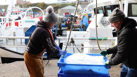 Seafish webinar to highlight export opportunities for UK seafood in Vietnam and South Korea.: IMG 1052 - Large (2)-2