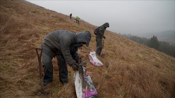 First trees to be planted as one of England's biggest native woodlands starts to take shape: Snaizehome 15