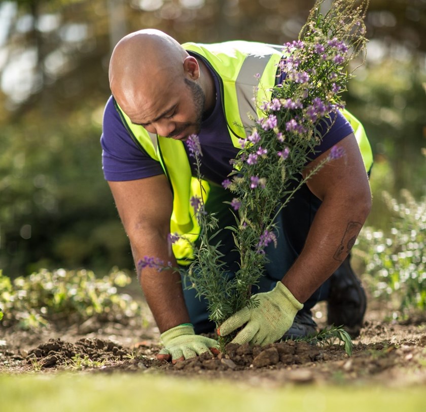 Mitie has become a Corporate Patron of Plantlife