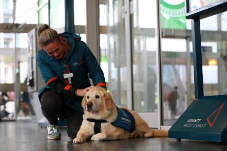 A women crouches down over a guide dog lying on the floor with her right hand stroking its head