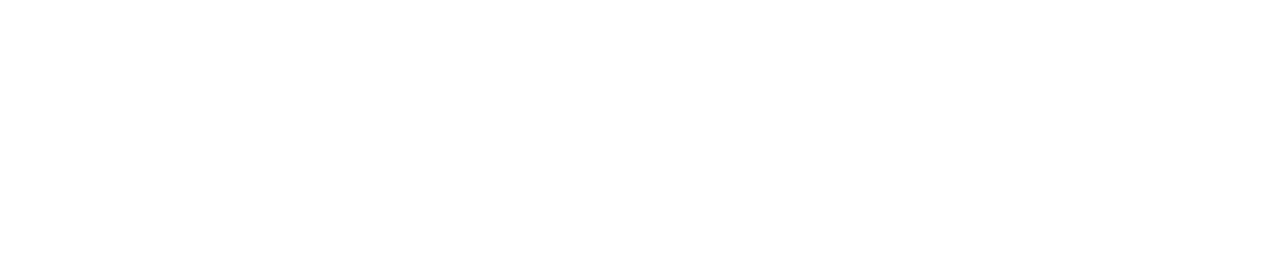 First bus logo
